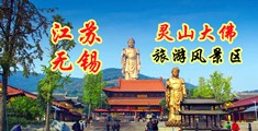漏屄美女野外视频江苏无锡灵山大佛旅游风景区