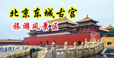 骚B被淫贼大屌操出白浆中国北京-东城古宫旅游风景区